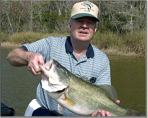 Harris Chain Largemouth Bass